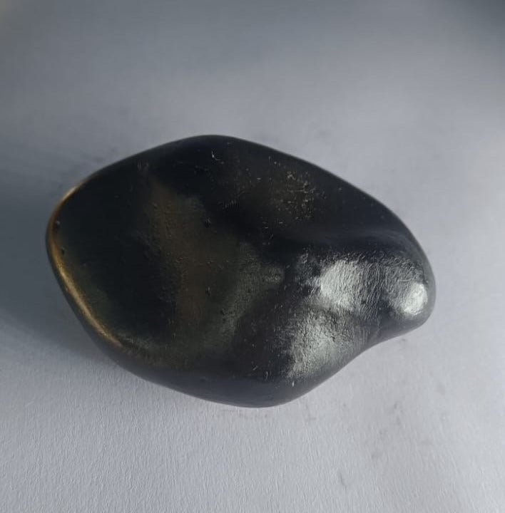 Damodar Shaligram 121g - PUSHMYCART