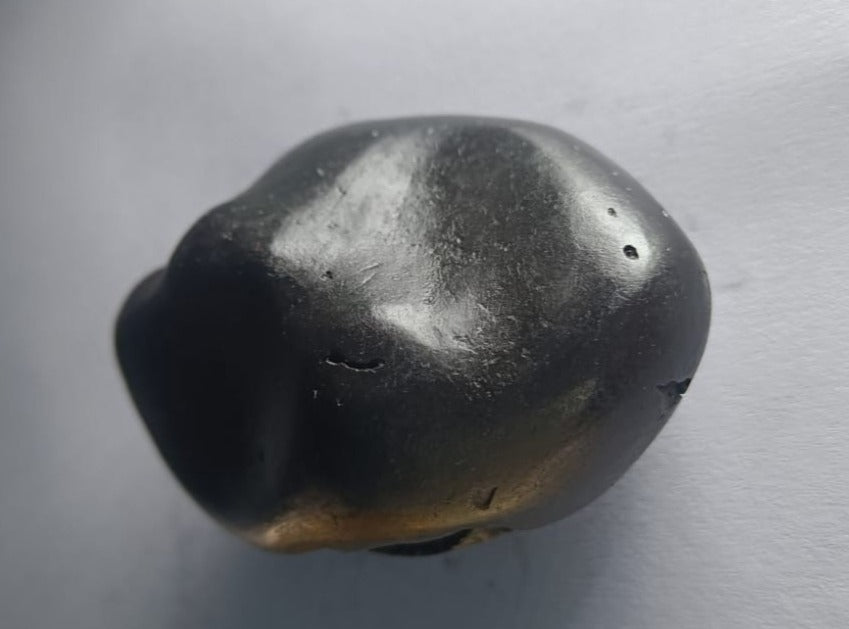 Damodar Shaligram 121g - PUSHMYCART