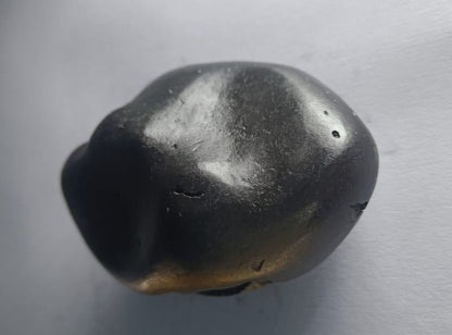 Damodar Shaligram 121g - PUSHMYCART