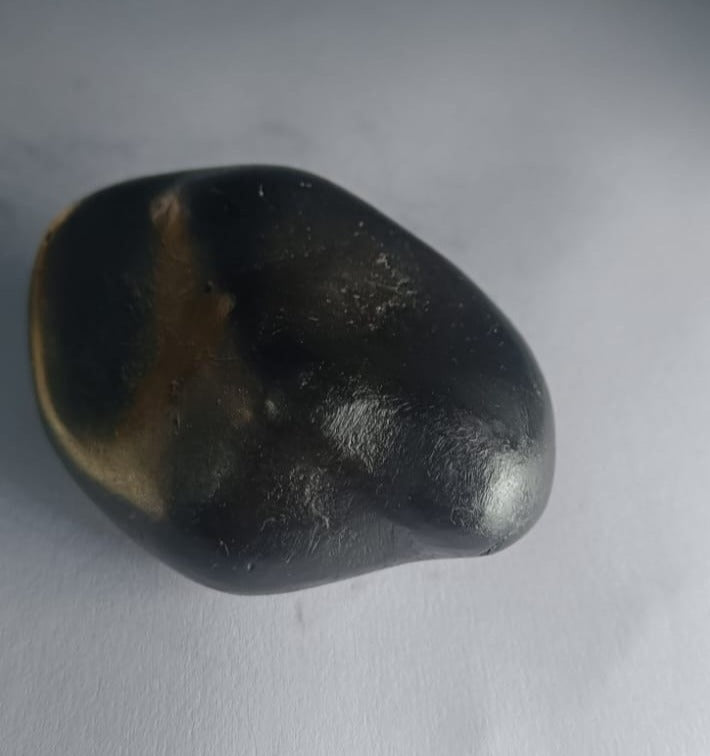 Damodar Shaligram 121g - PUSHMYCART