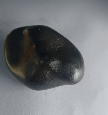 Damodar Shaligram 121g - PUSHMYCART