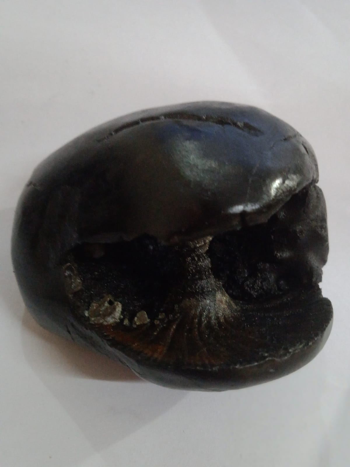 Original Hayagriva Shaligram from Gandaki River - PUSHMYCART