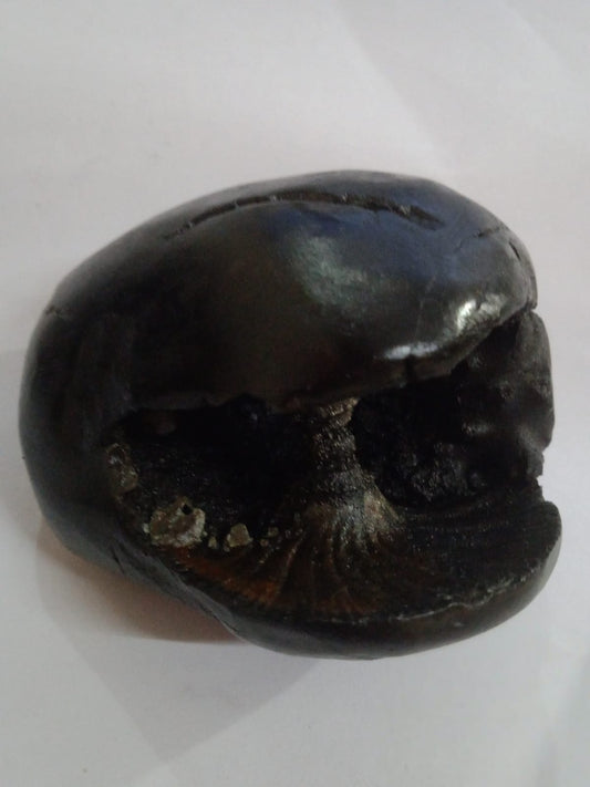 Original Hayagriva Shaligram from Gandaki River - PUSHMYCART