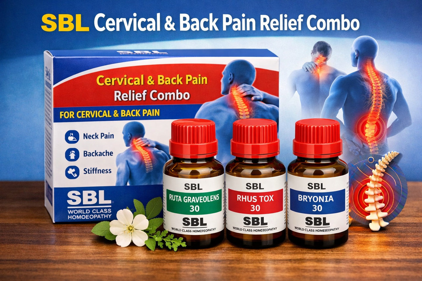 SBL Cervical & Back Pain Relief Combo