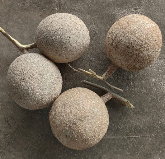 Wood Apple for Ganesh Pooja