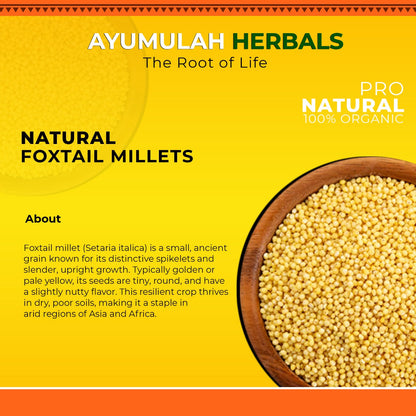 Ayumulah Foxtail Millets