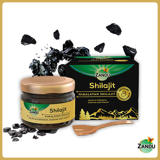 Zandu Shilajit Resin 