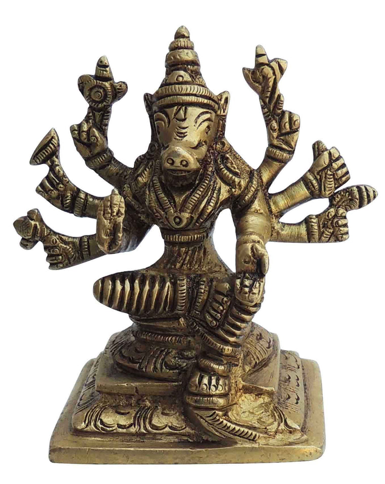 Brass Varha Avatar Idol statue