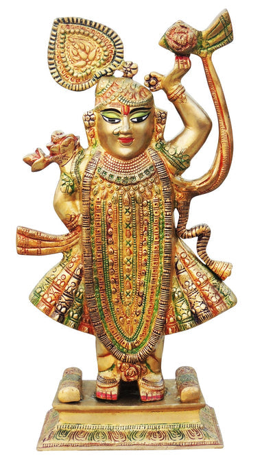 Brass Shreenathji Statue