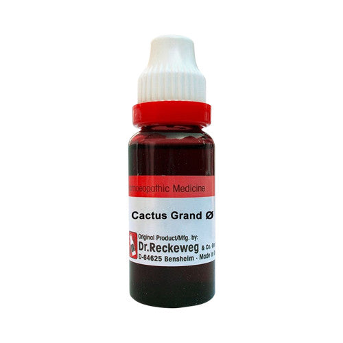 Dr. Reckeweg Cactus Grand Mother Tincture Q