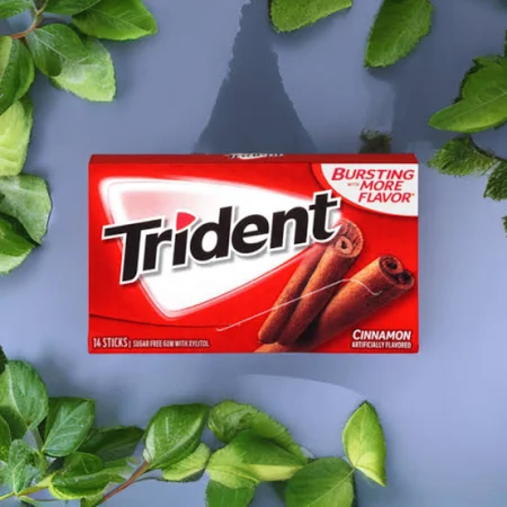 Trident Cinnamon Chewing Gum (Sugar Free)