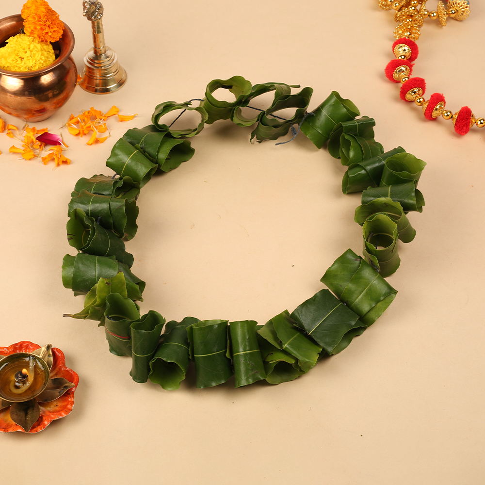 Ashoka Fresh Leaves String (Ashok Ke Patton Ka Toran)