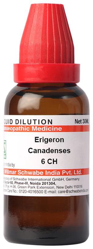 Dr Willmar Schwabe India Erigeron Canadenses Dilution 6 CH