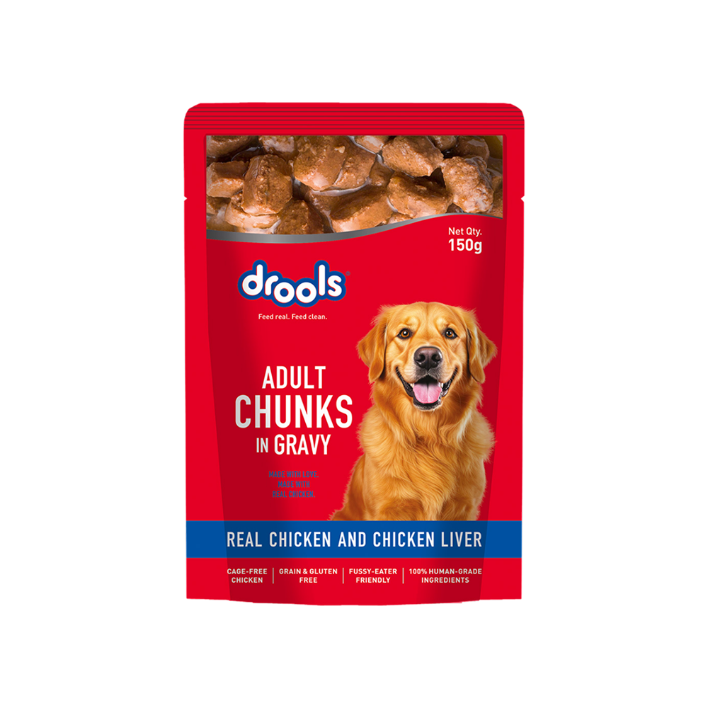Drools Chicken Chunks in Gravy Adult Wet Dog Food