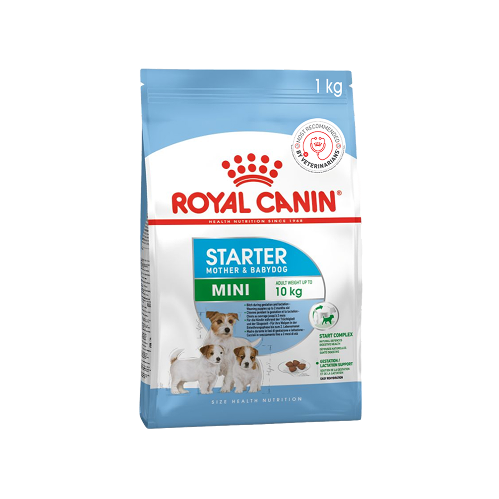 Royal Canin Dry Dog Food (Mini, Adult Up to 10 Kg)