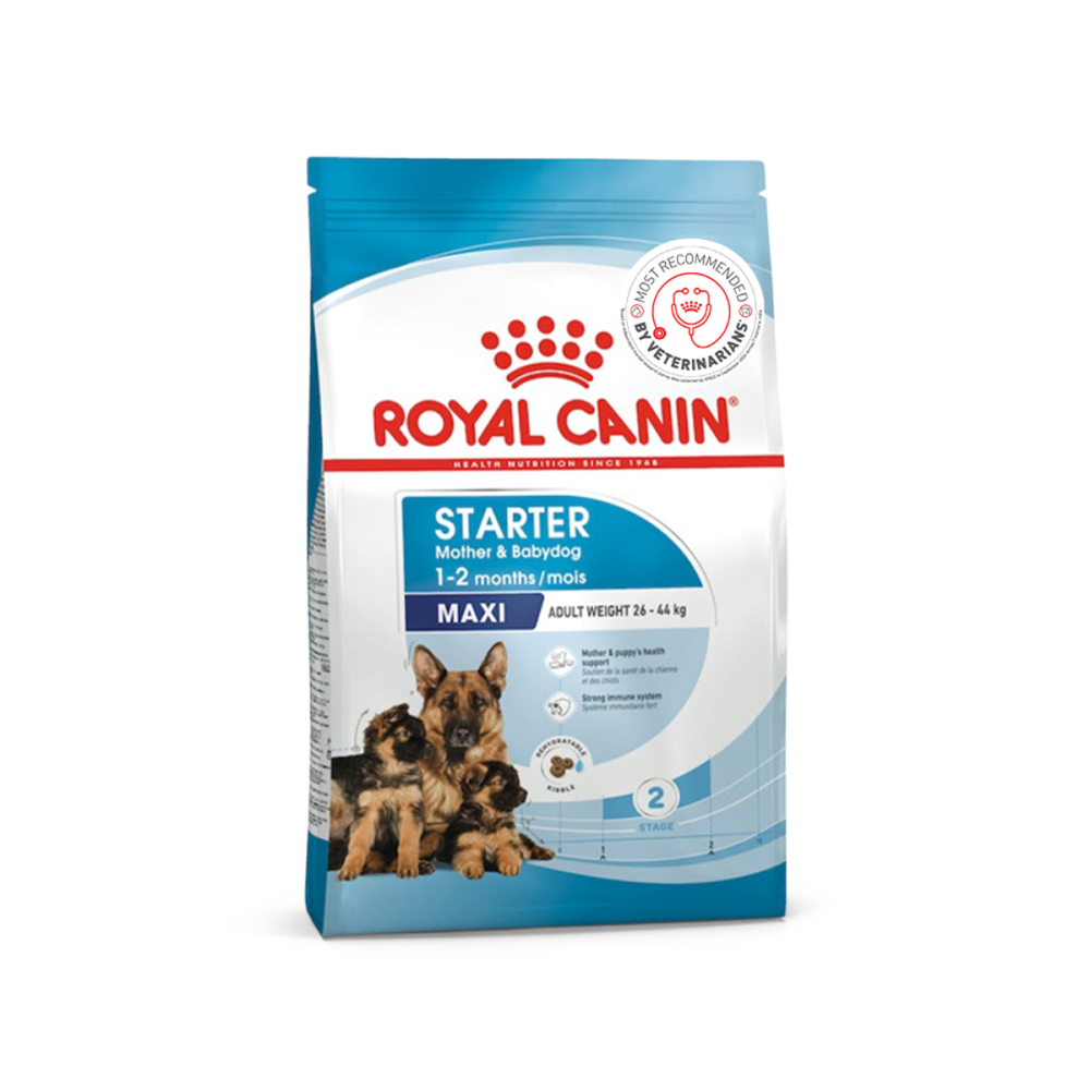 Royal Canin Maxi Starter Dry Dog Food