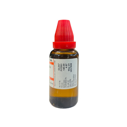 Dr. willmar Schwabe Okoubaka aubrevillei 1M - PUSHMYCART