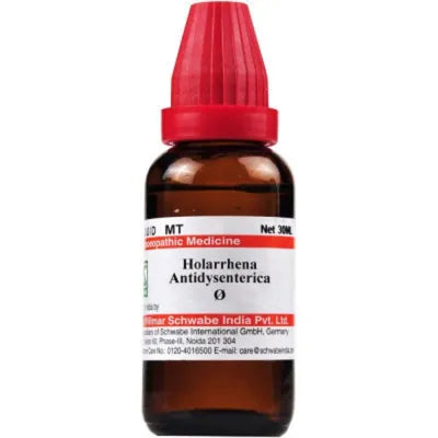 Dr Willmar Holarrhena Antidysenterica Mother Tincture Q - PUSHMYCART