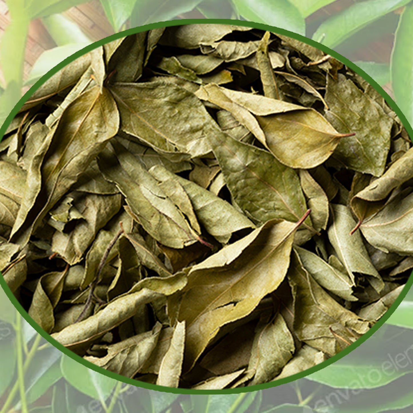 Dry Curry Leaves