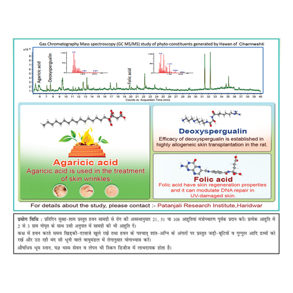 Patanjali Divya Charmeshti Hawan Samagri