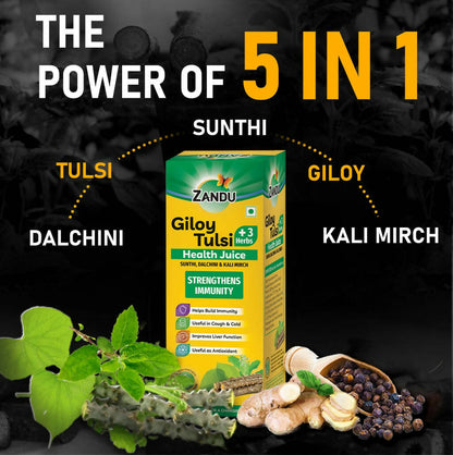 Zandu Giloy Tulsi Juice | 3 herbs