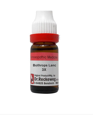 Dr. Reckeweg Bothrops Lanc Dilution