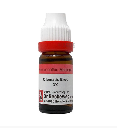 Dr. Reckeweg Clematis Erec Dilution