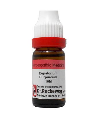 Dr. Reckeweg Eupatorium Purpureum Dilution