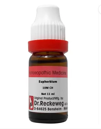 Dr. Reckeweg Euphorbium Dilution