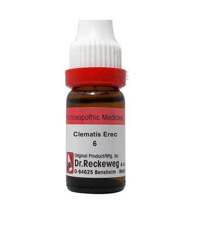 Dr. Reckeweg Clematis Erec Dilution