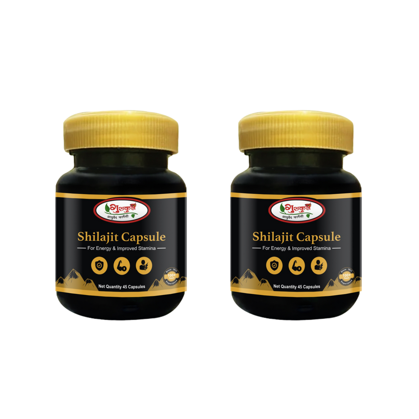 Gurukul Ayurved Pharmacy Shilajit Capsule