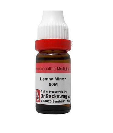 Dr. Reckeweg Lemna Minor Dilution