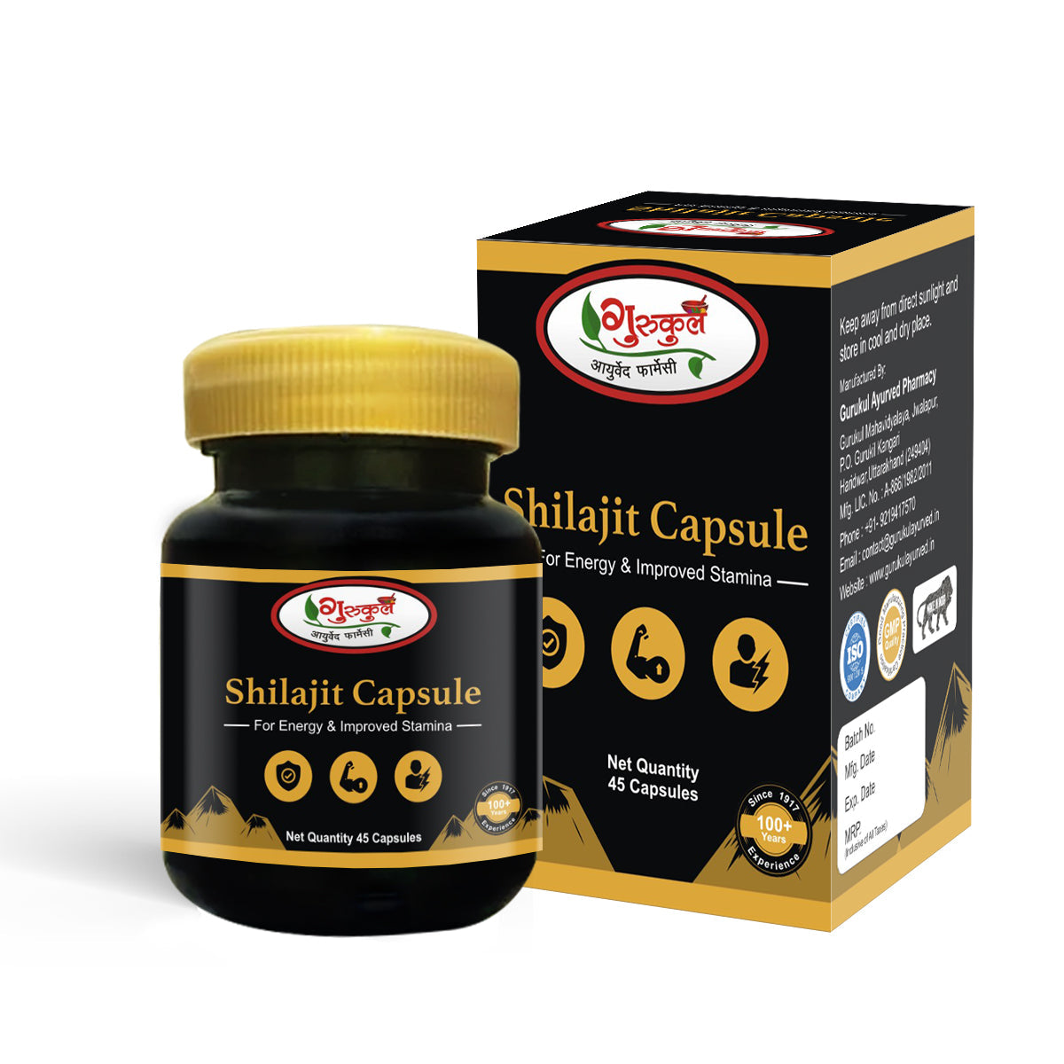 Gurukul Ayurved Pharmacy Shilajit Capsule