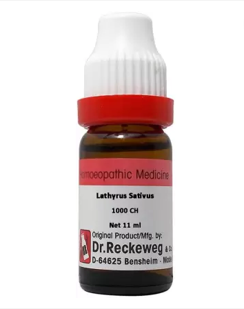 Dr. Reckeweg Lathyrus Sativus Dilution