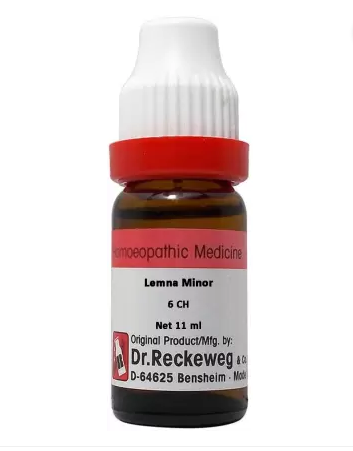 Dr. Reckeweg Lemna Minor Dilution