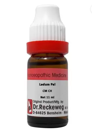 Dr. Reckeweg Ledum Pal Dilution