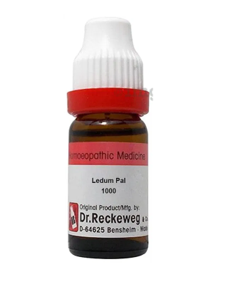 Dr. Reckeweg Ledum Pal Dilution