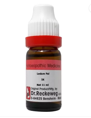 Dr. Reckeweg Ledum Pal Dilution