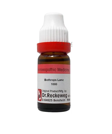 Dr. Reckeweg Bothrops Lanc Dilution