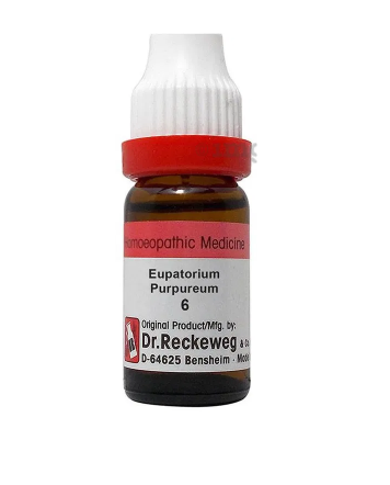 Dr. Reckeweg Eupatorium Purpureum Dilution