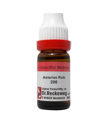 Dr. Reckeweg Asterias Rub Dilution