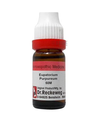 Dr. Reckeweg Eupatorium Purpureum Dilution