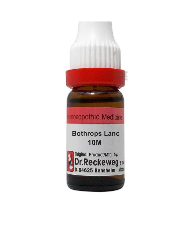 Dr. Reckeweg Bothrops Lanc Dilution