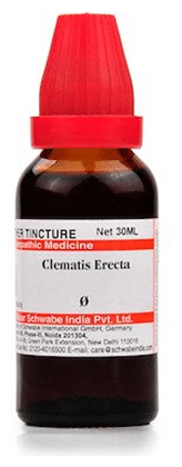 Dr Willmar Schwabe India Clematis Erecta Mother Tincture Q
