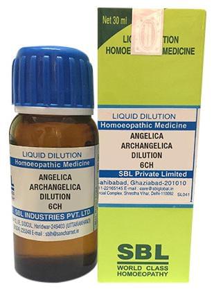 SBL Angelica Archangelica Dilution 6 CH