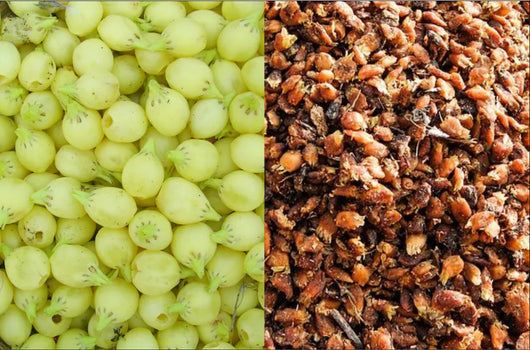 Ippa Puvvu Laddu | Mahua Flower Adivasi Traditional Superfood