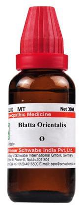 Dr Willmar Schwabe India Blatta Orientalis Mother Tincture Q