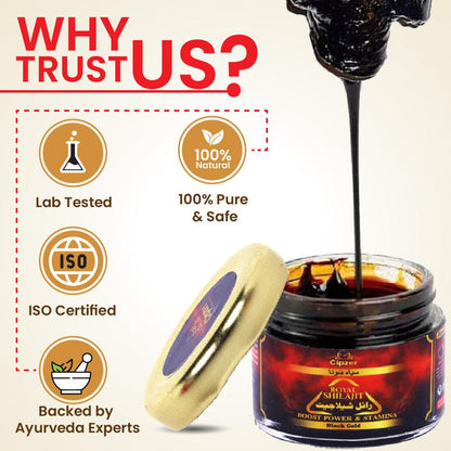 Premium Himalayan Royal Shilajit Resin 20GM