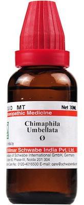 Dr Willmar Schwabe India Chimaphila Umbellata Mother Tincture Q