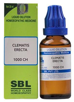 SBL Clematis Erecta Dilution 1000 CH